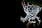 FIBA官方：西亚地区剩余四场世亚预全部从3月推迟到6月