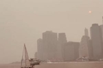 记者：各方一直在讨论山火形势，世界杯决赛场地空气质量严重恶化