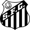桑托斯青年队